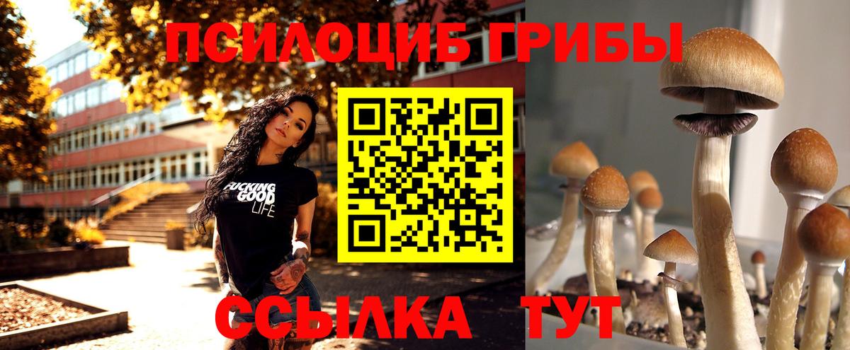 Омск  Галлюциногенные грибы мицелий  Галлюциногенные грибы Magic Shrooms  Вход с VPN 