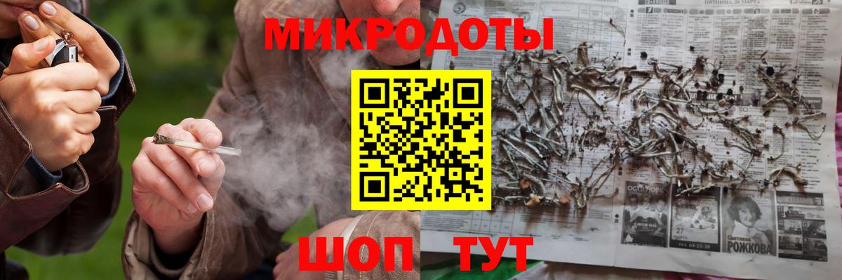 Галлюциногенные грибы Psilocybe Омск